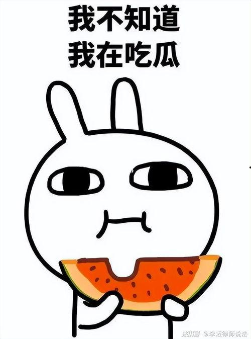 瓜瓜吃瓜娱乐,娱乐无限，揭秘娱乐圈幕后故事  第3张