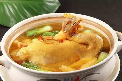 娱乐吃瓜酱鸡汤视频大全  第2张